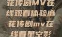 星空下的麻花传剧MV在线观看体验麻花传剧mv在线看星空影视评价