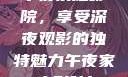 午夜家庭影院，享受深夜观影的独特魅力午夜家庭影院l