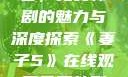 妻子5在线观看，免费韩剧的魅力与深度探索《妻子5》在线观看免费韩剧全集