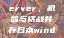 日本市场中的Window Server，机遇与挑战并存日本windowsserver服务器