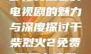干柴烈火，一部免费观看的电视剧的魅力与深度探讨干柴烈火2免费观看电视剧高清