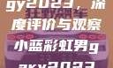 宏翔小蓝视频gy2023，深度评价与观察小蓝彩虹男gary2023的音乐作品