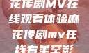 星空下的麻花传剧MV在线观看体验麻花传剧mv在线看星空影视评价