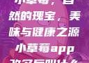 小草莓，自然的瑰宝，美味与健康之源小草莓app改名后叫什么