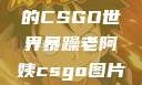 暴躁老阿姨的CSGO世界暴躁老阿姨csgo图片高清在线观看