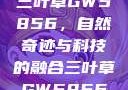 三叶草GW5856，自然奇迹与科技的融合三叶草GW5856