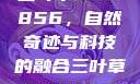 三叶草GW5856，自然奇迹与科技的融合三叶草GW5856