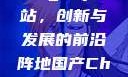 探索国产Chinagary网站，创新与发展的前沿阵地国产ChinaGary网站野外