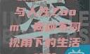 农场Zoom与人性Zoom，两种不同视角下的生活体验