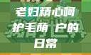 老妇精心呵护毛荫玥户的日常