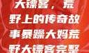 暴躁大妈荒野大镖客，荒野上的传奇故事暴躁大妈荒野大镖客完整版