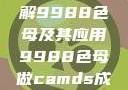 制作CAMDS成分表，详解9988色母及其应用9988色母做camds成分表最新消息