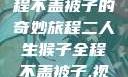 二人生猴，全程不盖被子的奇妙旅程二人生猴子全程不盖被子,视频