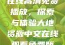 大地二资源在线高清免费播放，探索与体验大地资源中文在线观看免费版高清