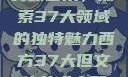 西方视角下的文体艺术，探索37大领域的独特魅力西方37大但文体艺术完整版花