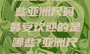 亚洲尺码最受欢迎的是哪些亚洲尺码最受欢迎的是哪些?亚洲尺码穿搭指南大揭秘!