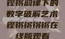 铿锵韵律下的数字破解艺术铿锵锵锵锵在线版观看