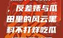 揭秘娱乐圈，黑料不打烊，反差婊与瓜田里的风云黑料不打烊吃瓜爆料反差婊下载