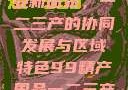 探索中国产业新面貌，一二三产的协同发展与区域特色99精产国品一二三产区区观看