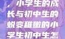 稚嫩的翅膀，小学生的成长与初中生的蜕变稚嫩的小学生初中生怎么形容句子