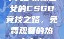 十九岁暴躁少女的CSGO竞技之路，免费观看的热血青春