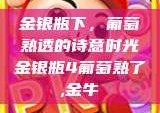 金银瓶下，葡萄熟透的诗意时光金银瓶4葡萄熟了,金牛