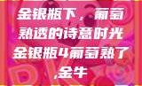 金银瓶下，葡萄熟透的诗意时光金银瓶4葡萄熟了,金牛