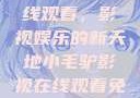 小毛驴影视在线观看，影视娱乐的新天地小毛驴影视在线观看免费版