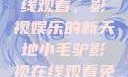 小毛驴影视在线观看，影视娱乐的新天地小毛驴影视在线观看免费版