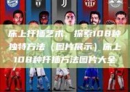 床上扦插艺术，探索108种独特方法（图片展示）床上108种扦插方法图片大全