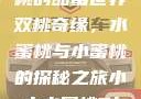 水蜜桃与小蜜桃的甜蜜世界
双桃奇缘，水蜜桃与小蜜桃的探秘之旅小小水蜜桃3[电视剧]