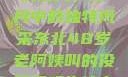 东北老阿姨的魅力，岁月中的独特风采东北48岁老阿姨叫的没谁了吗为什么还要叫她呢