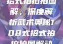 揭秘108式招式拍拍拍图解，深度解析武术奥秘108式招式拍拍拍图解动图