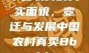 中国农村的真实面貌，变迁与发展中国农村真卖Bbwbbw