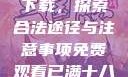 免费观看已满十八岁电视剧下载，探索合法途径与注意事项免费观看已满十八岁电视剧下载在线播放