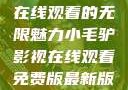 小毛驴影视，在线观看的无限魅力小毛驴影视在线观看免费版最新版本更新内容