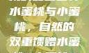 水蜜桃与小蜜桃的甜蜜世界
水蜜桃与小蜜桃，自然的双重馈赠水蜜桃4小蜜桃4在线