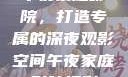 午夜家庭影院，打造专属的深夜观影空间午夜家庭影院福利