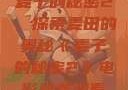 麦子的秘密2，探索麦田的奥秘《麦子的秘密2》电影免费观看