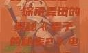 麦子的秘密2，探索麦田的奥秘《麦子的秘密2》电影免费观看