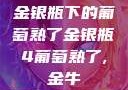 金银瓶下的葡萄熟了金银瓶4葡萄熟了,金牛