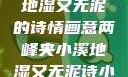 两峰夹小溪，地湿又无泥的诗情画意两峰夹小溪地湿又无泥诗小说免费阅读