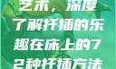 探索在床上的72种扦插艺术，深度了解扦插的乐趣在床上的72种扦插方法,扦插是什么意思
