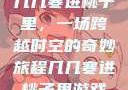 几几寒进桃子里，一场跨越时空的奇妙旅程几几寒进桃子里游戏