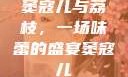 窦寇儿与荔枝，一场味蕾的盛宴窦寇儿