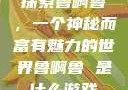 探索鲁啊鲁，一个神秘而富有魅力的世界鲁啊鲁 是什么游戏