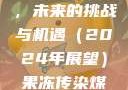 果冻传染煤，未来的挑战与机遇（2024年展望）果冻传染煤2024年