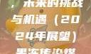 果冻传染煤，未来的挑战与机遇（2024年展望）果冻传染煤2024年