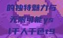 探索YSL千人千色，T9的独特魅力与无限可能ysl千人千色t9t9t9t9MAB