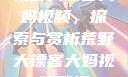 荒野大镖客大妈视频，探索与赏析荒野大镖客大妈视频剧情